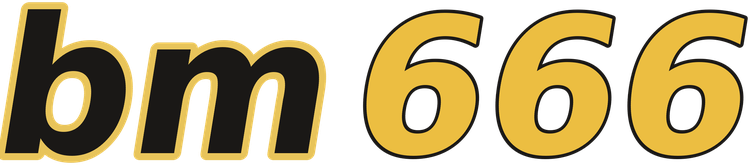bm666 logo